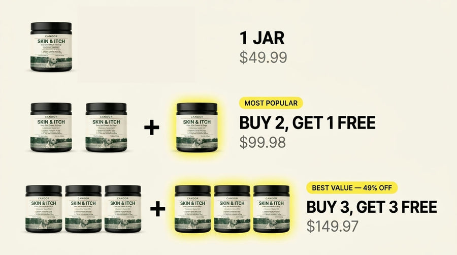 Candor bundle offers: 1 jar, Buy 2 Get 1 Free, Buy 3 Get 3 Free