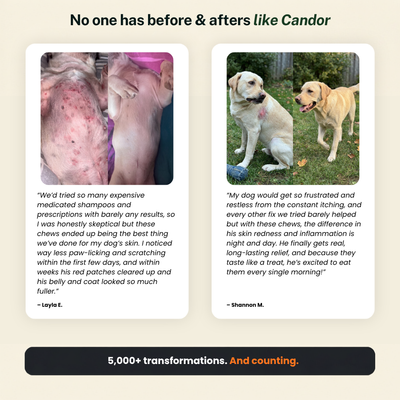Candor - Superchew Skin & Itch